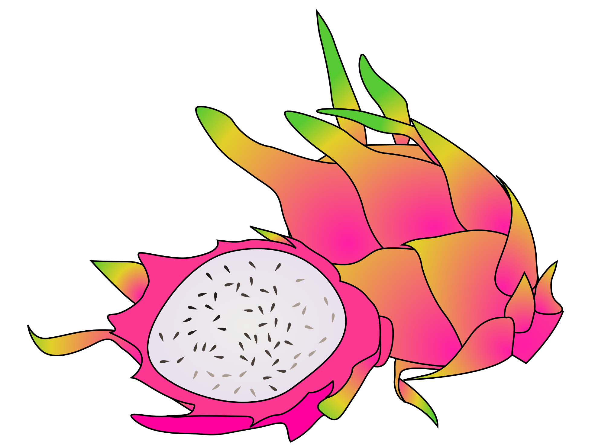 Clip Art: dragon fruits clipartist.net 2012 June ...