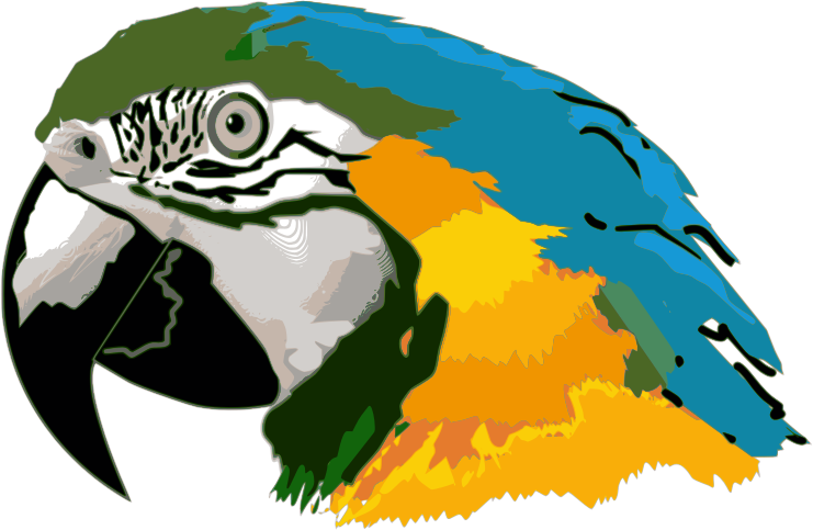 Free to Use & Public Domain Macaw Clip Art