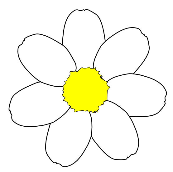 Daisy Flower 3 xochi.info scallywag Flower Plant Botany xochi.