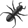 Ant clip art - vector clip art online, royalty free & public domain
