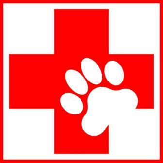 Gentle Ways Dog Training | Kent, WA 98031