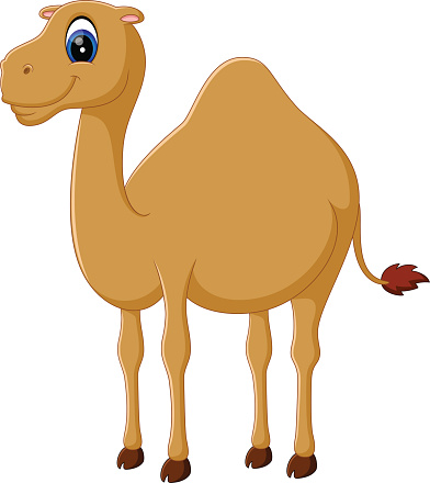 Cartoon Of Animal Camel Camels Desert Face Clip Art, Vector Images ...