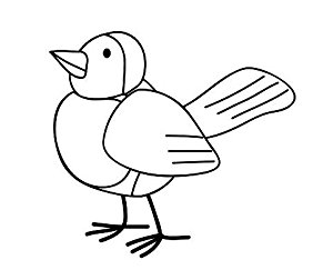 Cute outline of pigeon , Vinyl sticker, stickers , Deco , H = 50cm ...