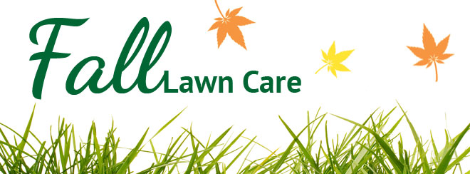 Fall Lawn Care for Atlanta and Charlotte North Carolina / Pike ...