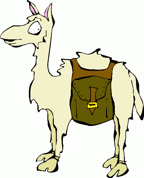 Llama Clip Art - Tumundografico
