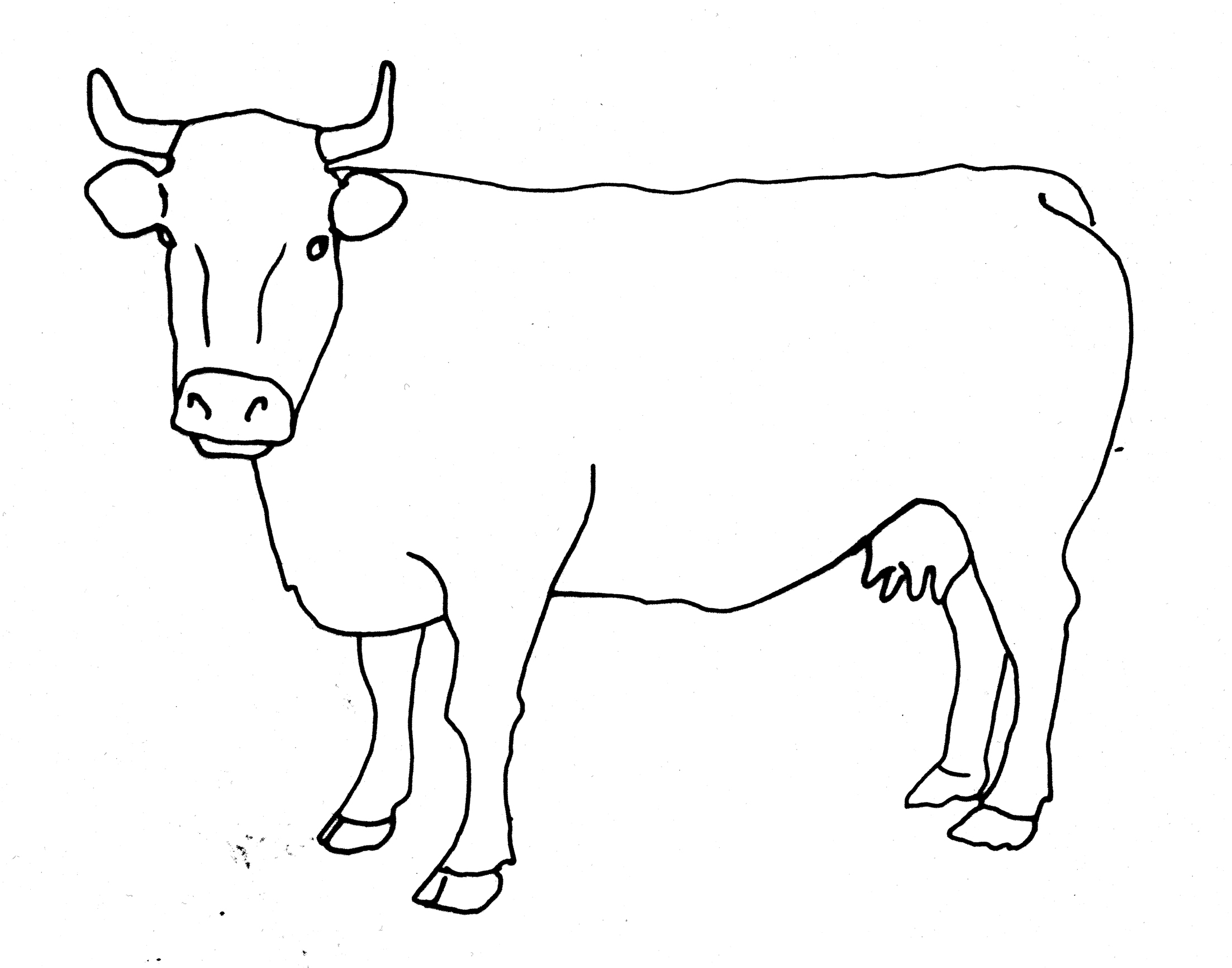 Matrix Line Drawing