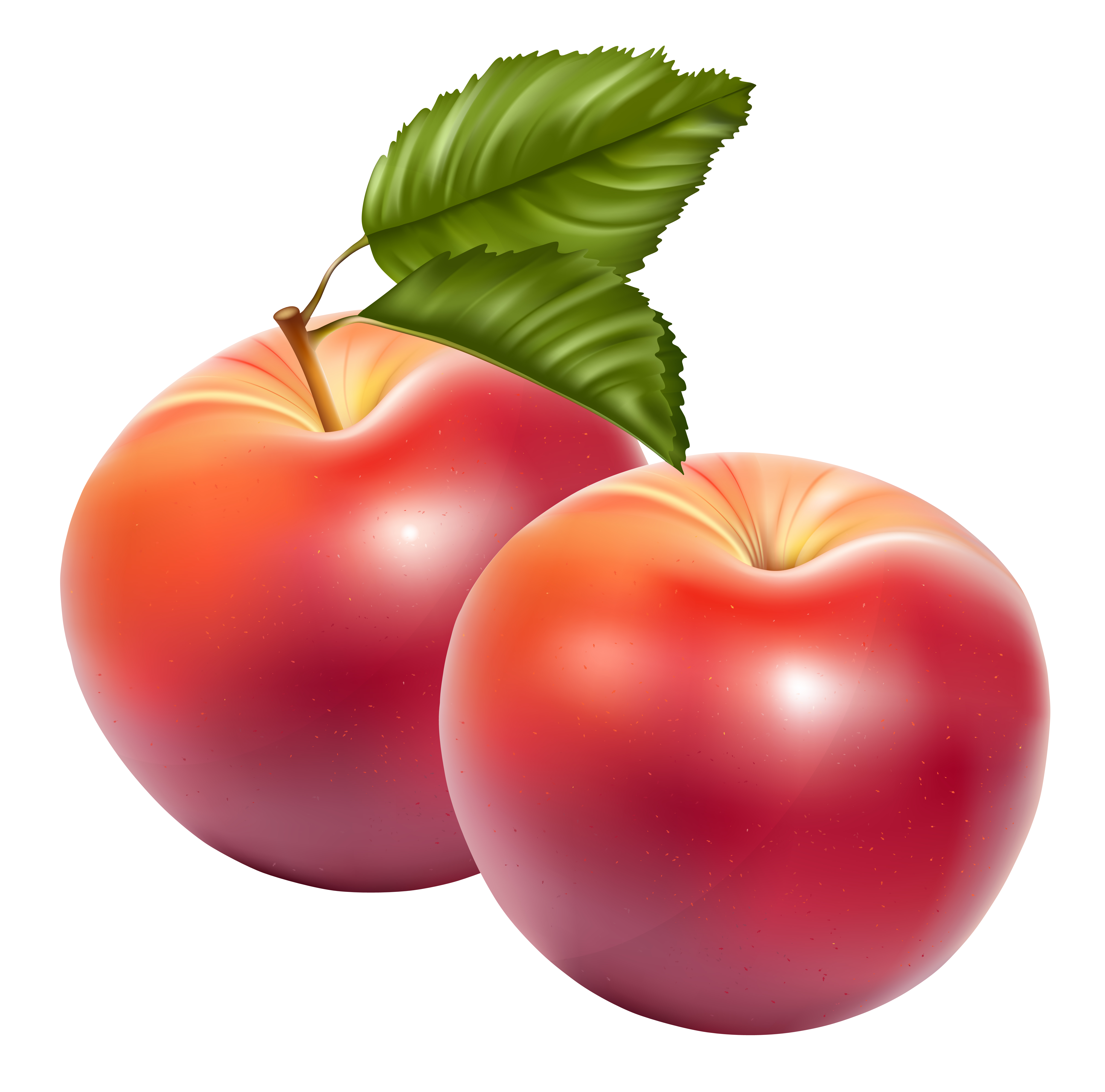 Apple Fruit PNG Transparent Images | PNG All