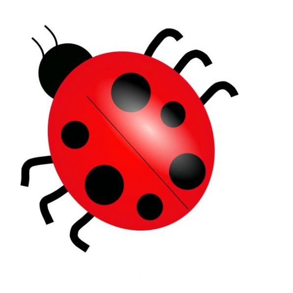 Clip Art Bugs - Tumundografico