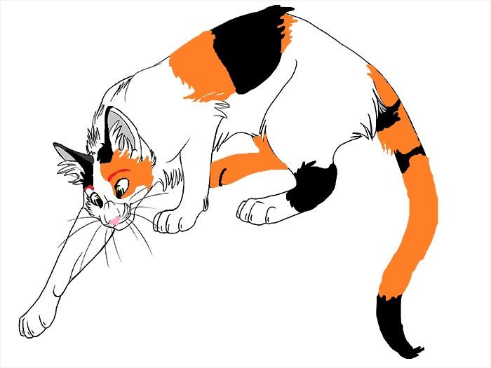 Calico Cat Commission 1 by Issa104 on DeviantArt