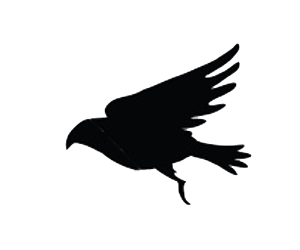 Flying Bird Gif - ClipArt Best