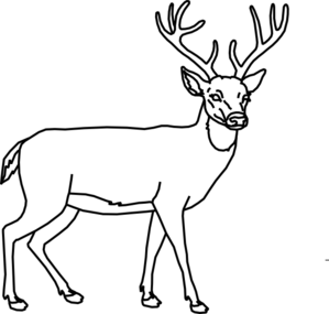 Deer outline clipart