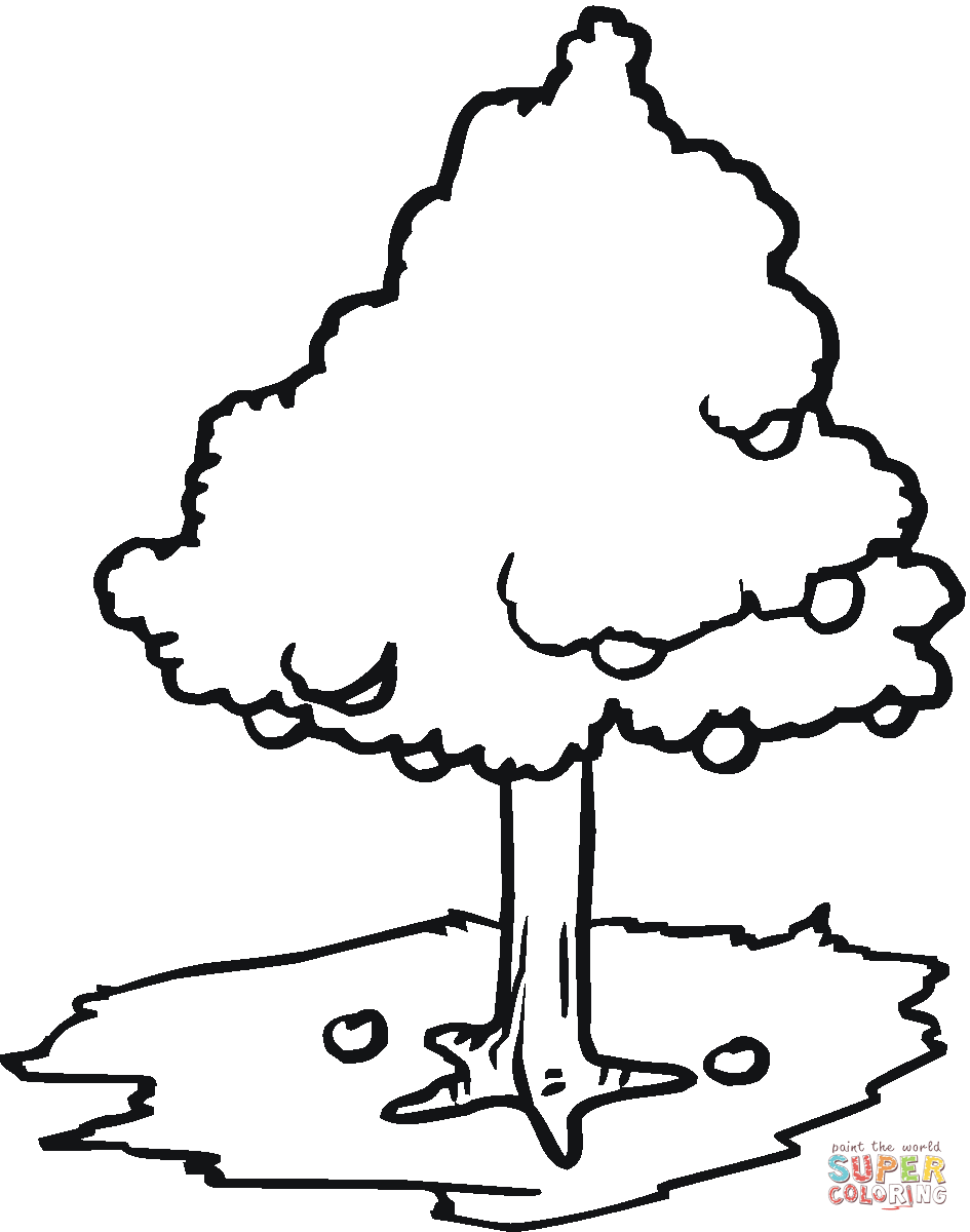 Apple Tree coloring page | Free Printable Coloring Pages