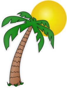 Png palm tree clipart