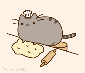 Cat GIF - Find & Share on GIPHY
