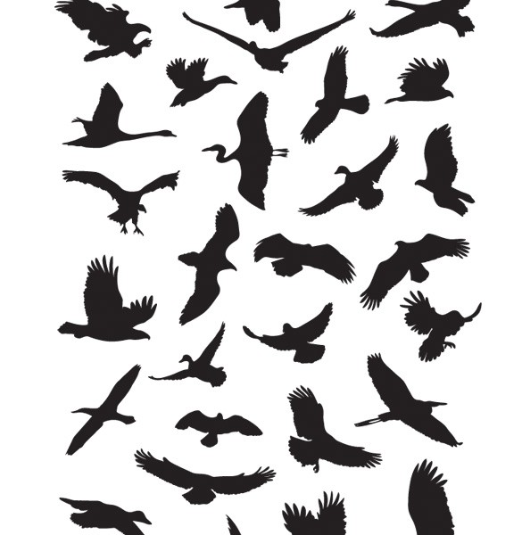 Pin Images Of Flying Bird Silhouette Template Wallpaper on ...