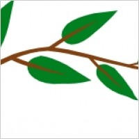 Wedding vine clip art Free vector for free download (about 1 files).