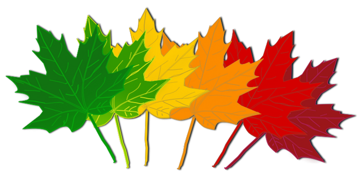 Clipart fall leaves color