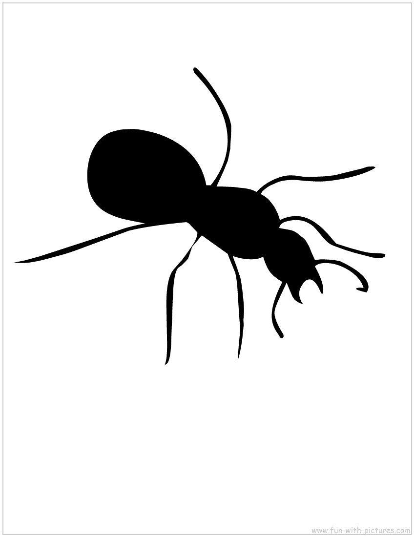 Ant Outline Clipart