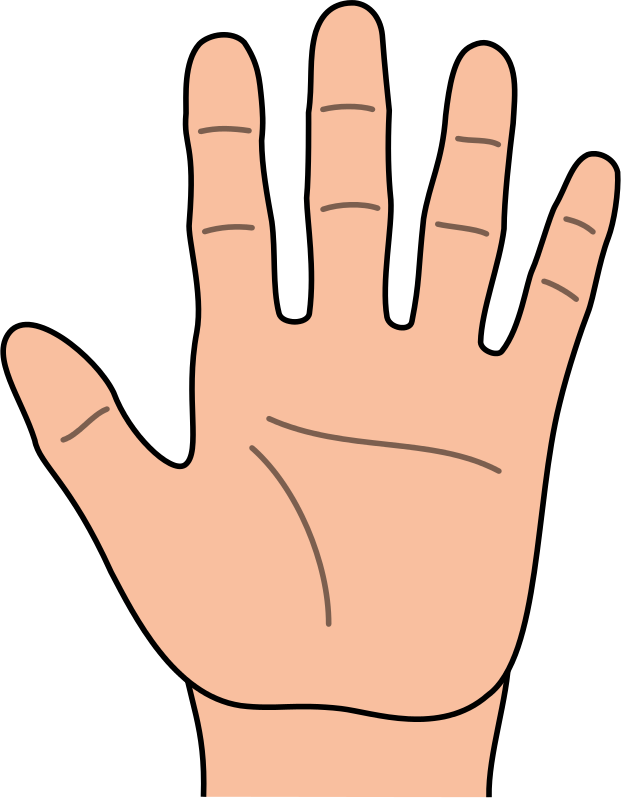 Palm Of Hand Clipart