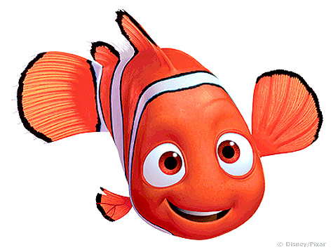 Clown Fish Clipart