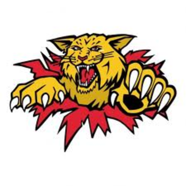 Math Wildcats Clipart
