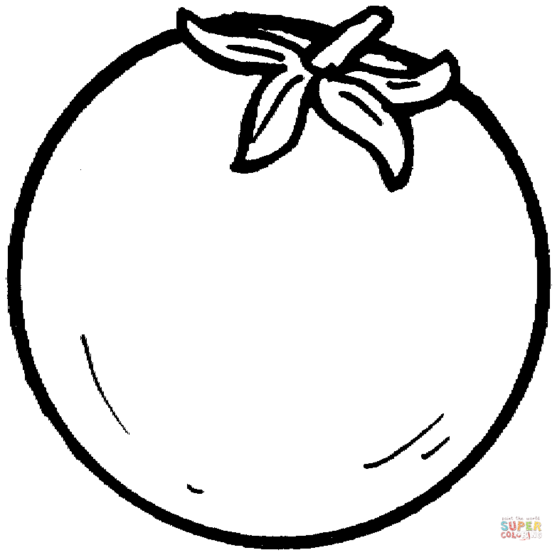 Tomato Slice Drawing Sliced Sheet Vector Coloring Pages Vegetable Organ ...