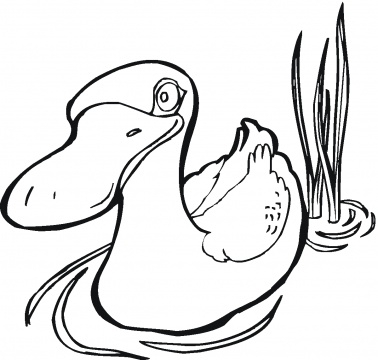 Outline Pic Of Faces Of Donald Duck - ClipArt Best