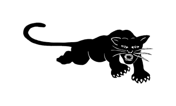 Black Panthers Party (U.S.)