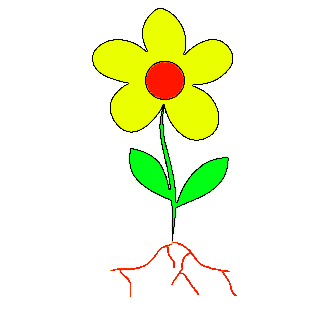 Leaf Diagram Clipart