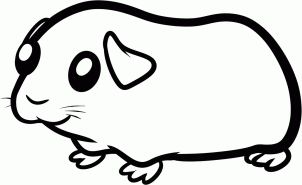 Animals - How to Draw a Guinea Pig for Kids