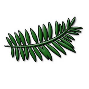 Fern Leaf Vector Fern Clip Art Fern Leaf Stencil Fern Leaf Clip ...