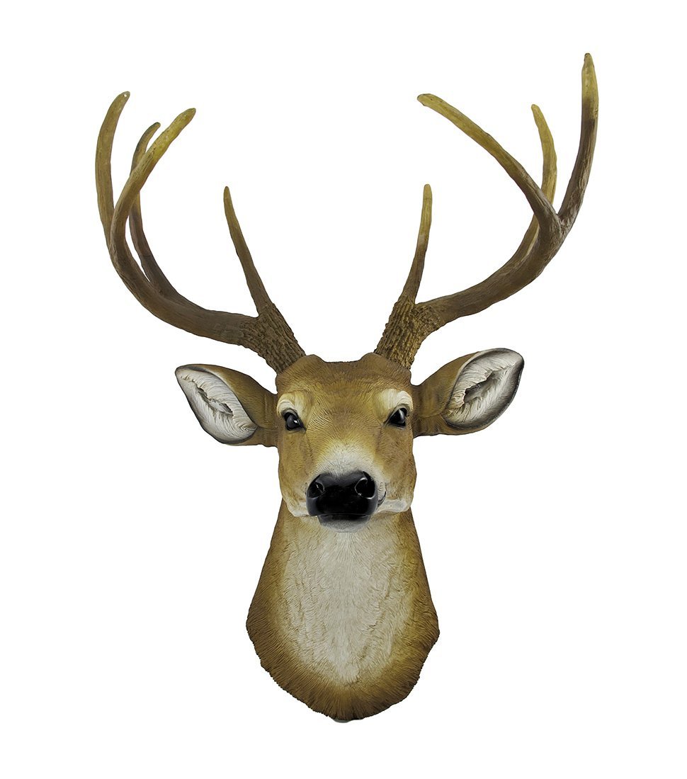 Amazon.com: 8 Point Buck Deer Head Bust Wall Hanging: Home & Kitchen
