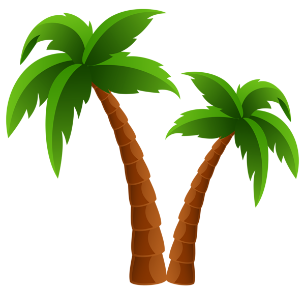 Cartoon palm tree clip art