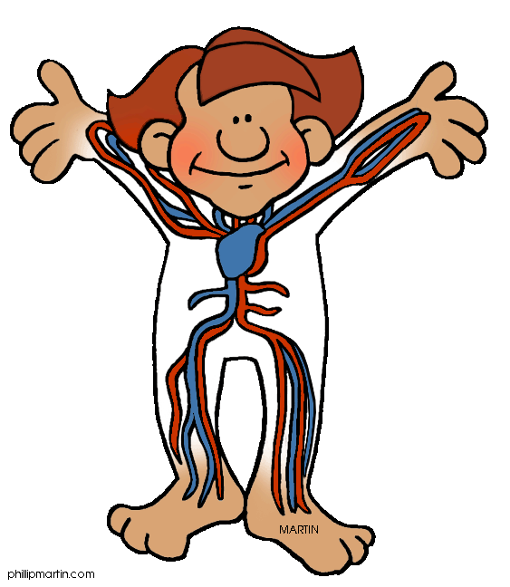 Human Body Archives - Page 21 of 60 - Human Anatomy Chart