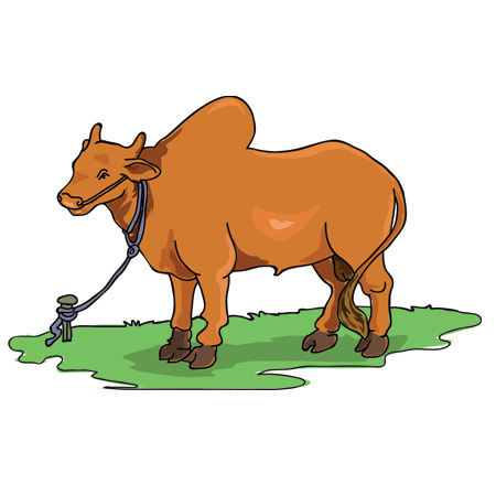 Ox Clipart - Free Clipart Images