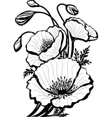 Drawings, Flower and Google