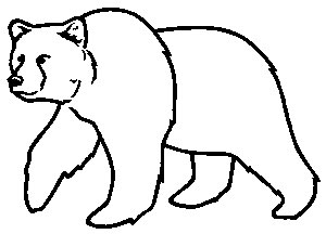 Bear Outline Clipart