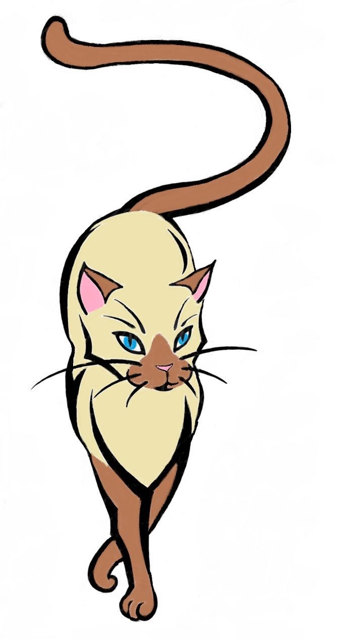 1000+ images about tattoo | Kitty cats, Cat sketch ...