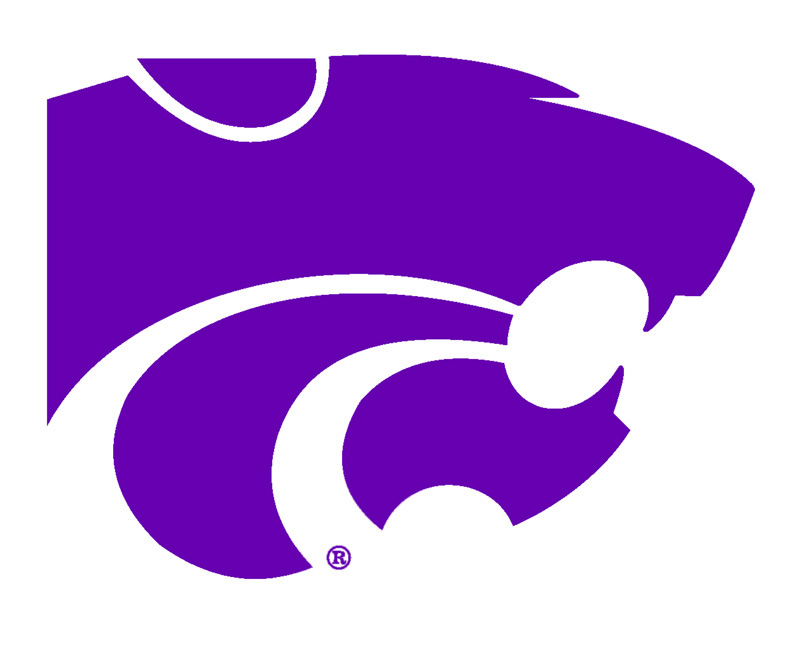 school spirit | College Lifestyles