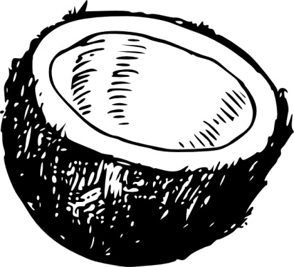 Coconut Vector - Download 46 Vectors (Page 1)