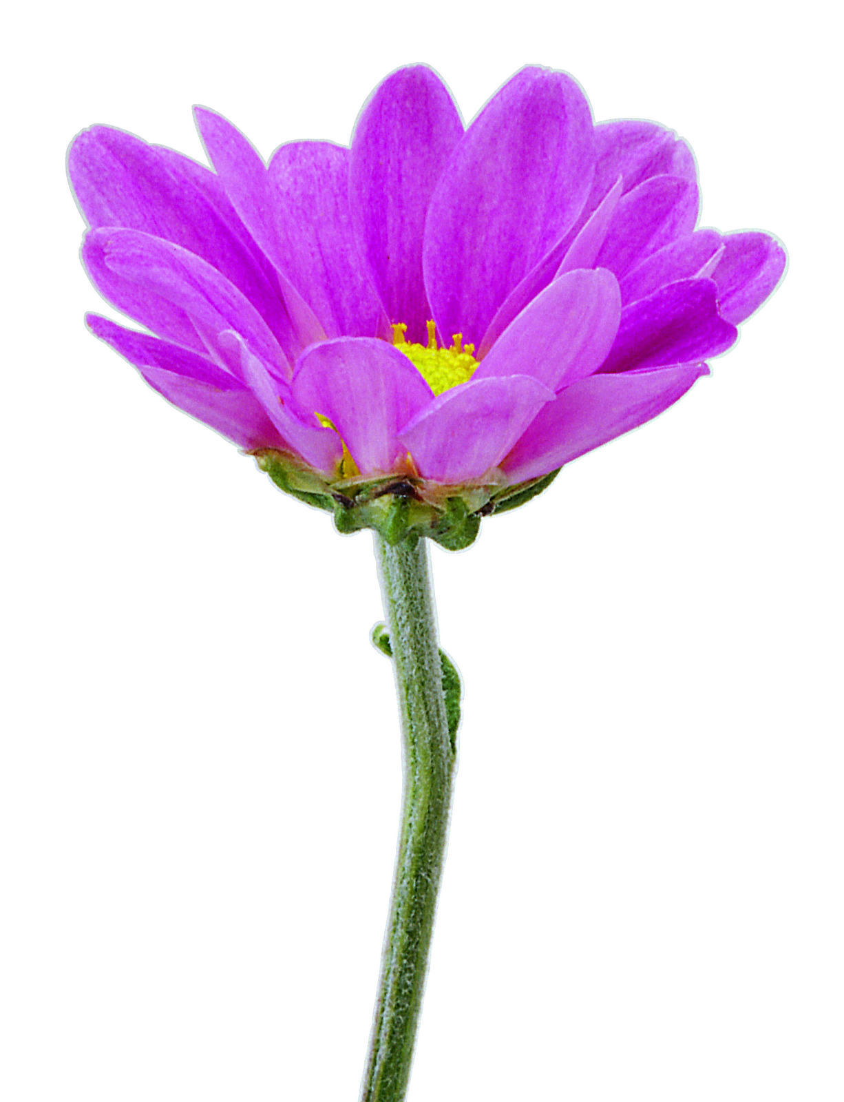 Free High Resolution graphics and clip art: misc clip art and graphics
