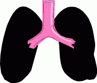 Hasslefreeclipart.comÂ» Regular Clip ArtÂ» Body PartsÂ» Completely ...
