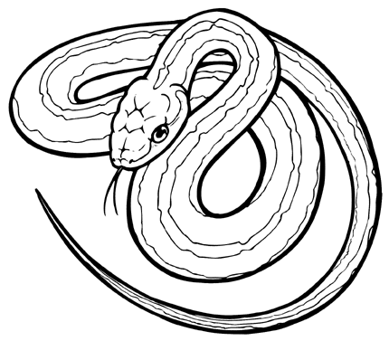 Learning Page :: Free Pages | Clip Art Gallery