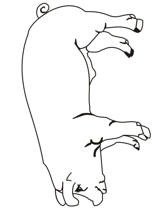 Pig Coloring Page | A Realistic Drawing Of A Pig