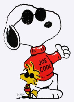 JOE COOL