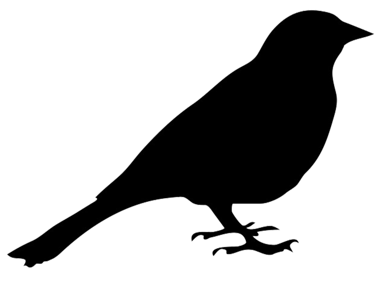 Bird Silhouette Clipart