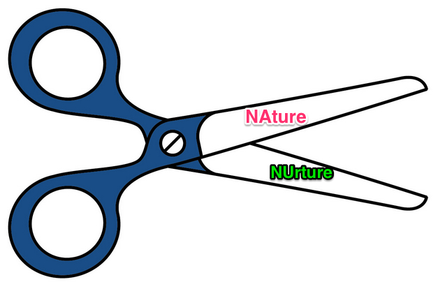 Living And Non-living Things Clipart
