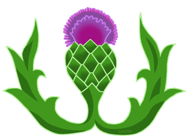 Thistle pictures clip art - ClipartFox