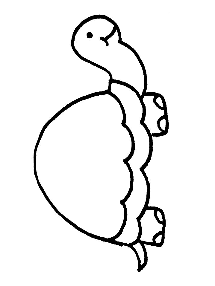 Coloring Page - Tortoise animal coloring pages 7