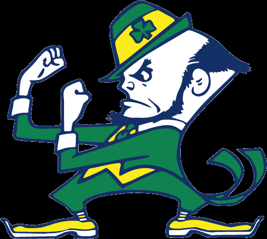 Imgs For > Fighting Irish Leprechaun